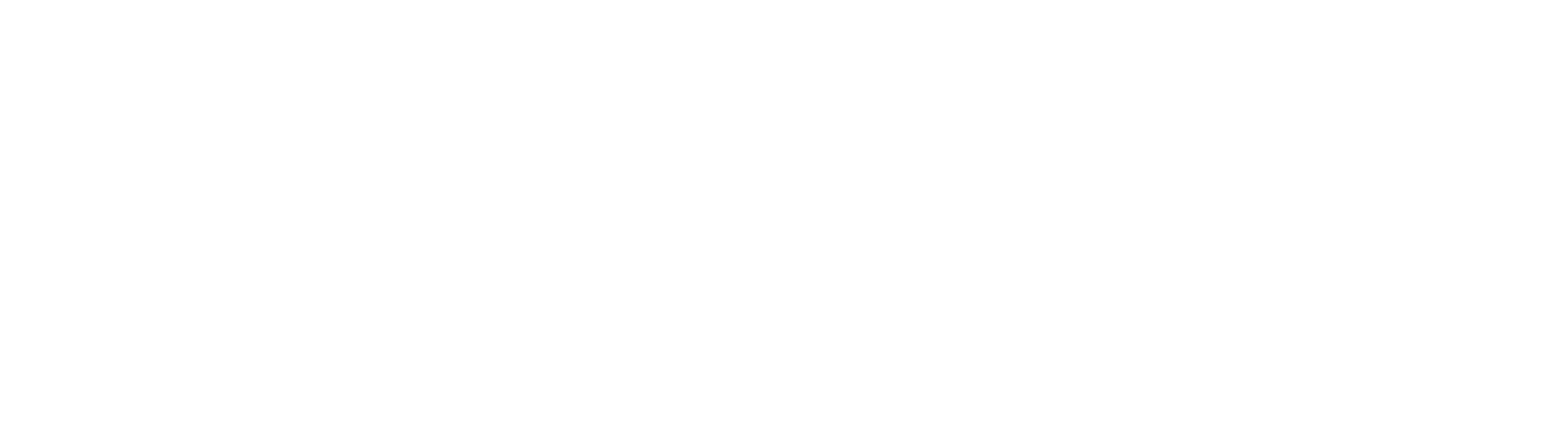 Oportik